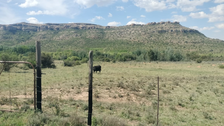 2 Bedroom Property for Sale in Ladybrand Free State